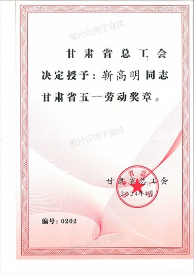 甘肅省五一勞動獎章2.png