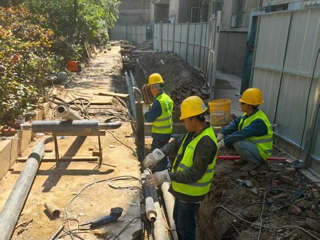 202508191755565348877746.jpg mmexport1754900845273.jpg